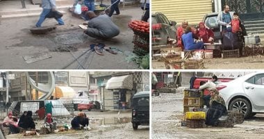 صور.. كوارث ذبح الطيور فى شوارع المحافظات مستمرة.. محلات الأسواق الأكثر مخالفة.. والفضلات تتسبب فى سد بالوعات الصرف وانتشار الأوبئة واستمرار الحال يهدد السلامة العامة.. والطب البيطرى: حملات يومية لضبط المخالفين