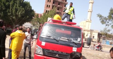 صور.. تطهير شوارع قرى السجاعية والعمارية واللابشيط بالغربية للوقاية من "كورونا"