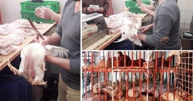 صور.. مع تهديدات كورونا .. فوضى ذبح الطيور بشوارع ومحلات البحيرة بالمخالفة للقانون.. الأهالى: "مفيش رقابة على الأسواق والعاملين".. وأصحاب المحلات: ملتزمون بالإجراءات الصحية.. ومطالب بإنشاء مجازر آلية للذبح