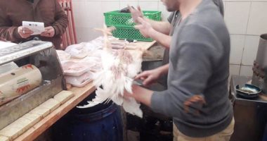 بيطرى أسوان: محاضر فورية لذابحى الطيور الحية بشكل عشوائى
