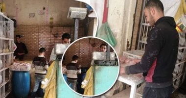 صور.. أصحاب المحال ببنى سويف يطالبون بمهلة لتوفيق الأوضاع قبل تفعيل قانون حظر ذبح الطيور الحية.. مواطنون: المخلفات تلوث البيئة وتسد شبكة الصرف.. الطب البيطرى: العمل بالقانون توقف منذ اندلاع ثورة يناير