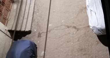 للحد من انتشار كورونا.. سعد يشارك بصور لالتزام أهالى طلخا بحظر التجوال