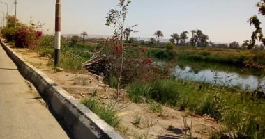 "إحنا أقوى من كورونا".. مبادرة جديدة للتغلب على الفيروس بالمنيا 