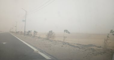 عواصف ترابية تعيق الرؤية على الطرق السريعة بالوادى الجديد