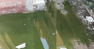 قارئة تشكو غرق عزبة سماحة بحى المرج فى القاهرة بمياه الصرف الصحى