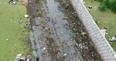 أهالى شارع حمدى الدواوى بدسوق فى كفر الشيخ يطالبون بالصرف الصحى