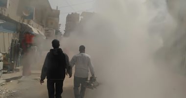 "التنمية المحلية" تستجيب لشكاوى أهالى الصف من انتشار الذباب والناموس 