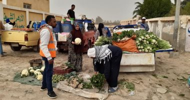 تكثيف الإجراءات الاحترازية للوقاية من كورونا وفض الأسواق العشوائية غرب الإسكندرية