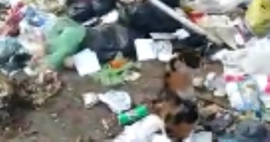 شكوي من انتشار القمامة بعزبة أبو خليل بالشرقية