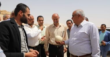 محافظ الوادى الجديد يوجه بدعم مشروع لتربية النعام بالداخلة