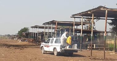 تعقيم مجازر وأسواق ماشية بالبراجيل وكرداسة لمواجهة كورونا.. صور