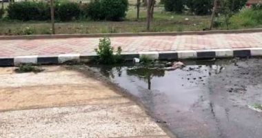 شكوى من انتشار مياه الصرف الصحى بمنطقة البنفسج بالتجمع الأول