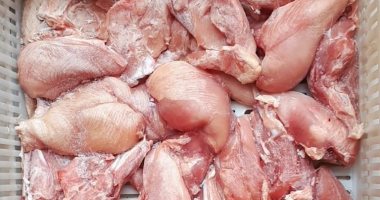 طب بطرى كفر الشيخ يضبط 7 أطنان طيور مذبوحة غير صالحة.. صور