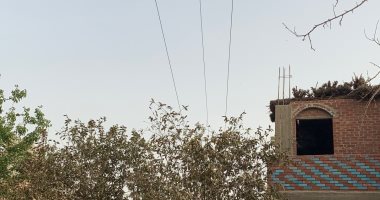 مطالب بتغير أسلاك الضعط العالى بقرية أولاد مرجان بالمنيا لخطورتها على الأهالى      