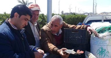 فض أسواق بكفر الشيخ لمواجهة كورونا وتعقيم مستشفى وسوق للجملة