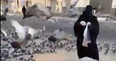 سيدة تطعم الحمام وتدعى باكية لزوال كورونا لتصلى التراويح فى المسجد الحرام.. فيديو