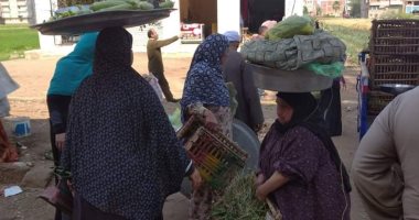 رئيس مدينة الباجور: فض 5 أسواق منعا للتزاحم بسبب فيروس كورونا المستجد