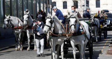 النمسا تستعين بعربات الخيول لتوزيع الطعام على الأهالى أثناء الحجر