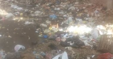 سيبها علينا.. شكوى من انتشار القمامة بقرية الحريدية بسوهاج 