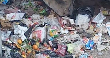 شكوى من تراكم القمامة والخردة بشوارع الحرفيين بحى السلام فى القاهرة
