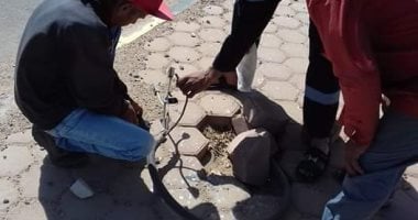 حملات تعقيم وتطهير وصيانة أعمدة كهرباء ونظافة بشوارع رأس غارب.. صور