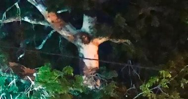 جمعت الناس للصلاة.. صورة "صلب المسيح" على شجرة تكسر الحظر بكولومبيا.. إيه الحكاية