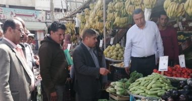 حملات رقابية على الأسواق لضبط الأسعار فى بئر العبد بشمال سيناء