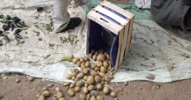 صور.. رئيس مدينة الحسينية يحيل موظفا للتحقيق لإلقائه خضار الباعة على الأرض