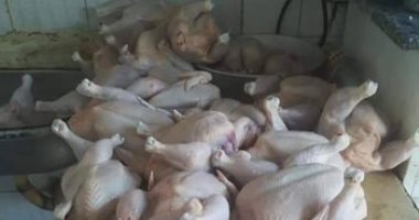 صور.. ذبح الطيور الحية بطرق عشوائية بالشرقية ومطالبات بتفعيل القانون