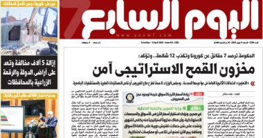 مخزون القمح الاستراتيجى آمن.. غدا بـ"اليوم السابع"