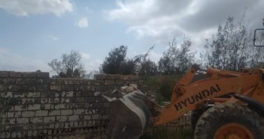 صور.. الإسكندرية تواصل حملات إزالة التعديات على أراضى وأملاك الدولة