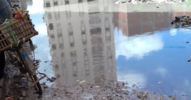 شكوى من انتشار برك الصرف الصحى بمنطقة المهاجرين فى الإسكندرية