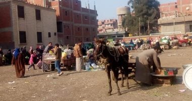 فض أسواق ديرب نجم وتطهير شوارع الزقازيق لمواجهة الكورونا 