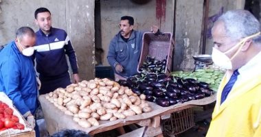 وحدة مكافحة ناقلات الأمراض تعقم أسواق الخضروات والأسماك بالعريش.. صور
