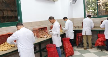 الزراعة: فحص 603 ألف طن بطاطس معدة للتصدير.. وروسيا وأوروبا بالمقدمة