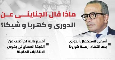 ماذا قال عمرو الجناينى عن الدورى وكهربا وشيكا؟.. إنفو جراف