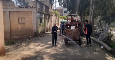 شباب قرية فرسيس فى الغربية يشنون حملة تطهير بالجهود الذاتية.. صور 