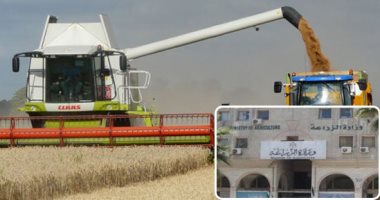 "الفلاحون" يجنون سنابل الذهب الأصفر.. الزراعة: بدء حصاد 3.4 فدان من القمح.. لجان متابعة مع التموين لتوريد المحصول.. توصيات لتقليل الفاقد والزحام لمواجهة كورونا .. "والنقيب": الأسعار مرضية وتشجع لزيادة المساحة