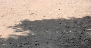 "سيبها علينا"..  قارئ يطالب برصف شوارع قرية قفادة بمغاغة