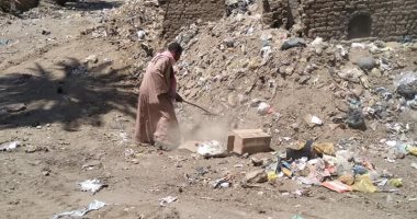 رفع القمامة والمخلفات وتركيب محول كهرباء بقرية الحلة جنوب الأقصر.. صور