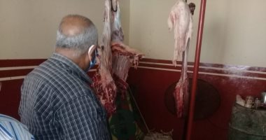 تحرير 13 محضر مخالفات للمخابز وذبح خارج السلخانة شمال الأقصر.. صور