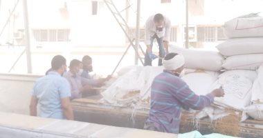 الزراعة: إقامة مراكز تجميع قريبة من الفلاحين لتسهيل توريد القمح