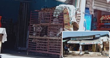 مواجهة ارتفاع العلف وتذبذب سعر الدواجن.. الغرفة التجارية تؤكد: منع تدوال الطيور الحية الحل.. الزراعة: يحمى من مخاطرة التسويق ويطبق الذبح الآمن.. نقيب الفلاحين: يخفض السعر للمستهلك ولن يؤثر على المربى
