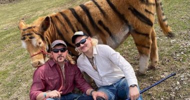 فى تحدى جديد.. "البقرة النمر" تدخل المنافسة بسبب المسلسل الوثائقى Tiger King