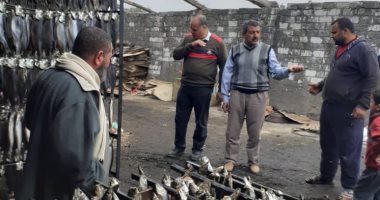 ضبط 13 طن رنجة مجهولة المصدر بمصنع غير مرخص قبل شم النسيم بكفر الشيخ