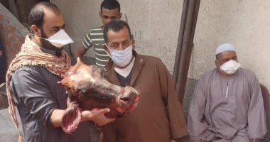أهالى عزبة أبو ربيع بالإسماعيلية يذبحون عجل بعد رفع العزل بسبب كورونا.. صور