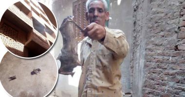 القصة الكاملة لـ"خفافيش الحزانية" بشبين القناطر.. رئيس المدينة: اتخذت منزلا مهجورا من 18 عاما سكنا لها.. "الطب البيطرى" يحيل المسئولية على "الصحة" والعكس.. واستخدام الدخان والشطة الحمراء يقضى على 100 طائر