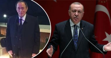 النائب أحمد بدوى: الإفراج عن زعيم المافيا التركية يفضح علاقة أردوغان بالإرهابيين