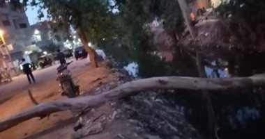 "سيبها علينا".. قارئ يشكو سقوط الأشجار على طريق قرية قهبونة بالشرقية 