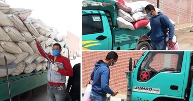 صور.. استلام الذهب الأصفر من المزارعين.. إعداد جداول منظمة لمنع التزاحم كإجراء احترازى للوقاية من كورونا.. تعقيم السيارات المحملة بالمحصول قبل دخولها أماكن التخزين.. و"القابضة للصوامع" توزع كمامات على الموردين